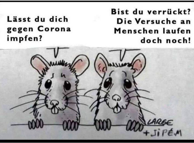 ratten